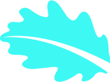 ddos页端